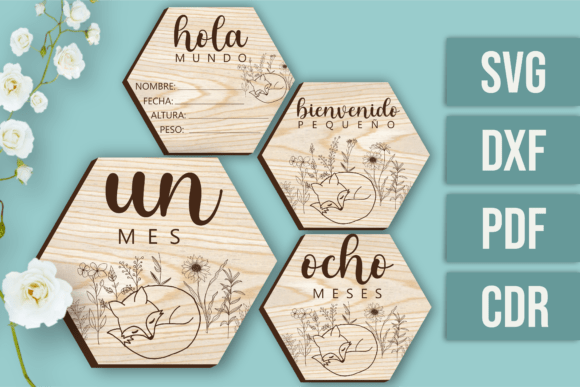 Hito Del Bebe Zorro Espanol Creativo Digital